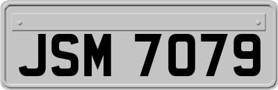 JSM7079