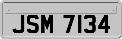 JSM7134