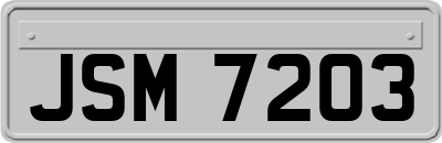 JSM7203
