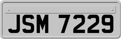 JSM7229