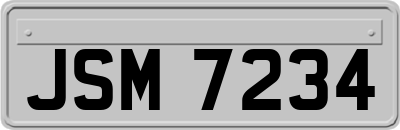 JSM7234
