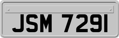 JSM7291