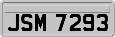 JSM7293