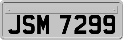 JSM7299