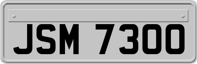 JSM7300