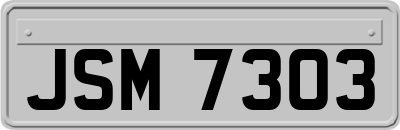 JSM7303