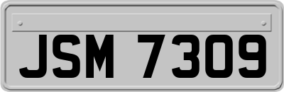 JSM7309