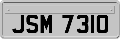 JSM7310