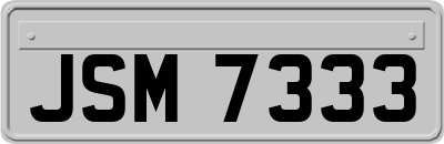 JSM7333