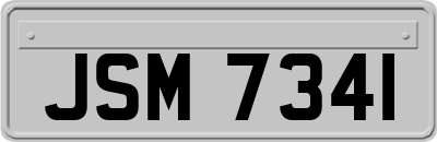 JSM7341