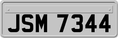 JSM7344