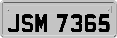 JSM7365