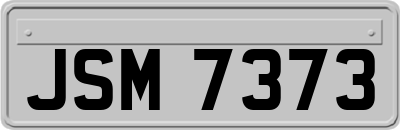 JSM7373