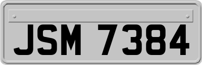 JSM7384