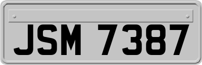 JSM7387