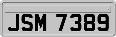 JSM7389