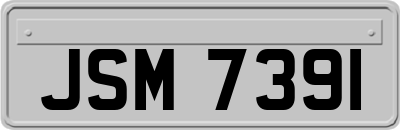 JSM7391