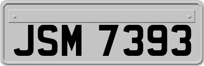 JSM7393