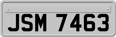 JSM7463
