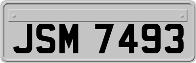 JSM7493