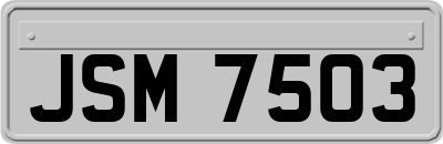 JSM7503