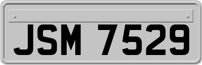 JSM7529