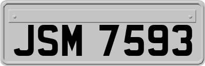 JSM7593