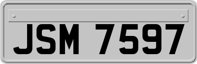 JSM7597