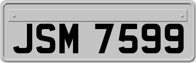 JSM7599