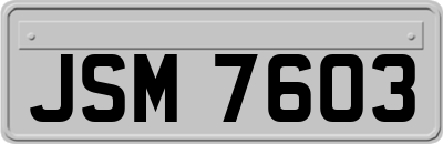 JSM7603