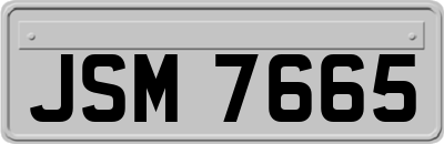 JSM7665