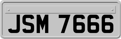 JSM7666