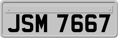 JSM7667