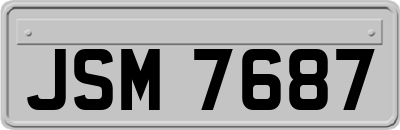 JSM7687