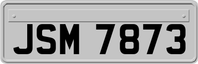 JSM7873
