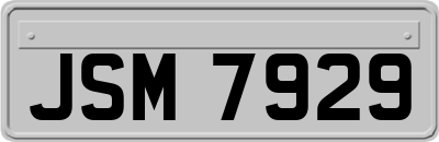 JSM7929