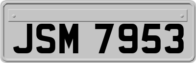 JSM7953