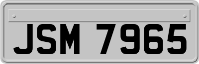 JSM7965