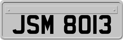 JSM8013