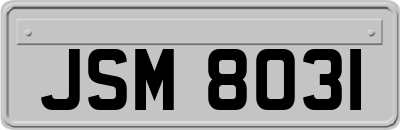JSM8031