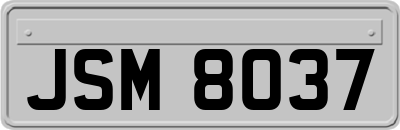 JSM8037