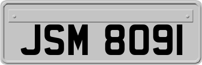 JSM8091
