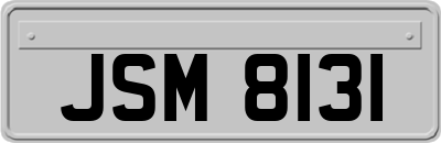 JSM8131