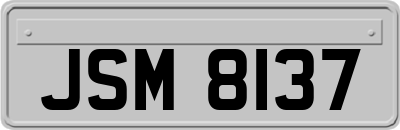 JSM8137