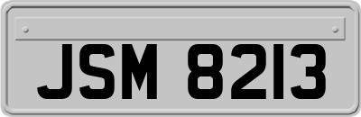 JSM8213