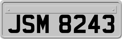 JSM8243