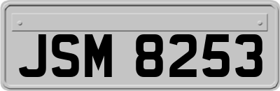 JSM8253