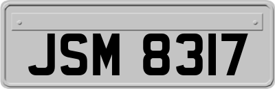 JSM8317