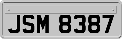 JSM8387