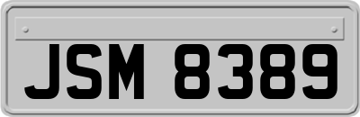 JSM8389